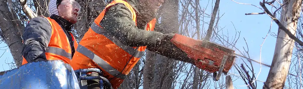 gawler tree arborist banner